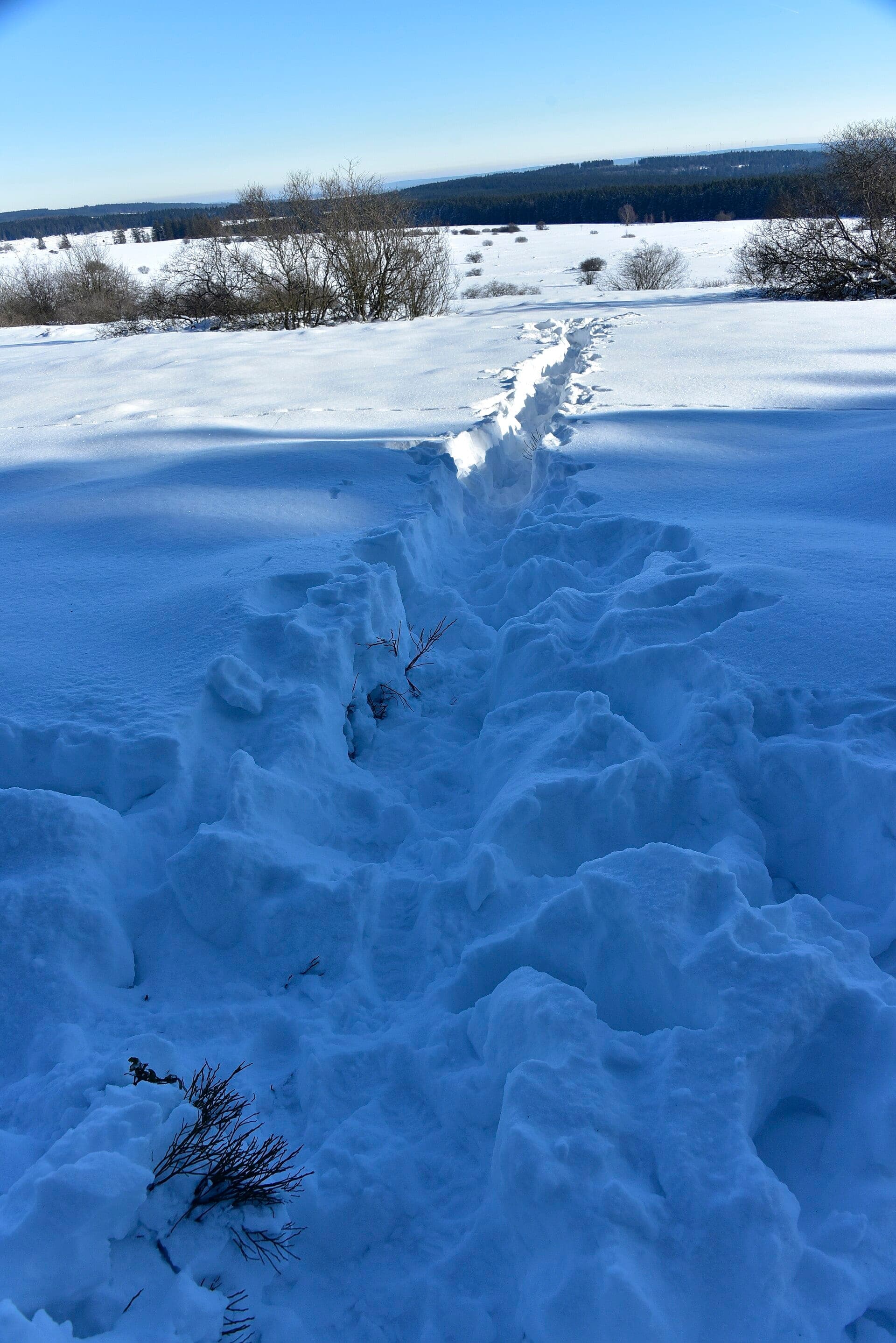 Une trace de pas profonde qui traverse un champ de neige